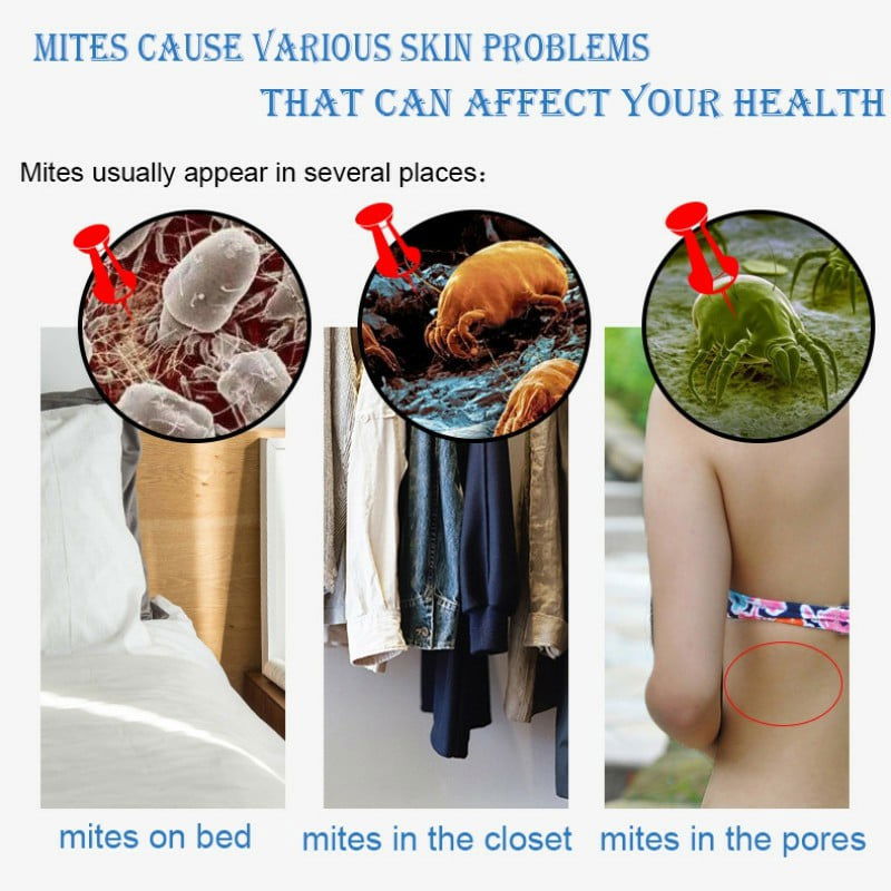 100g Sea Salt Soap Original Remove Mites Removal Pimple - China To BD Web