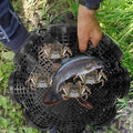 ( ২ পিচের সেট ) Fishing Trap Cage for Shrimp Loach Eel Crab and Small Fish - China To BD Web