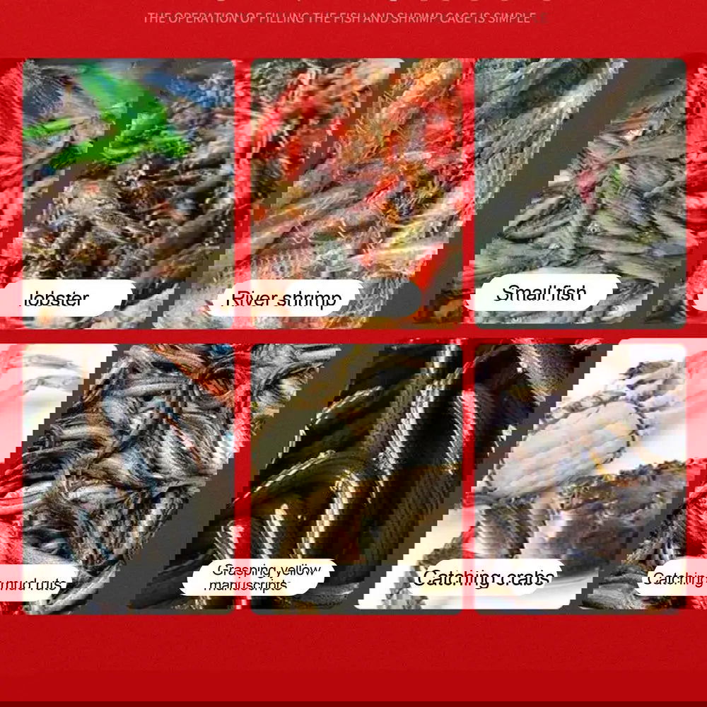 ( ২ পিচের সেট ) Fishing Trap Cage for Shrimp Loach Eel Crab and Small Fish - China To BD Web